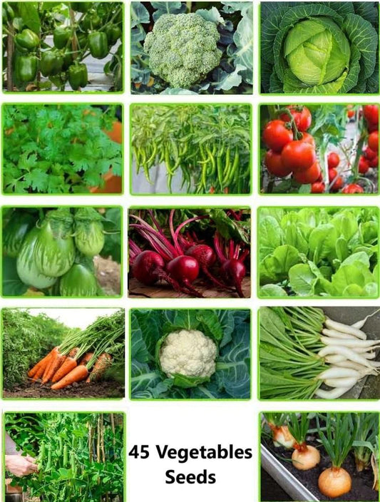 45 Vegetables Seeds (Pack of 45-450 Seeds)